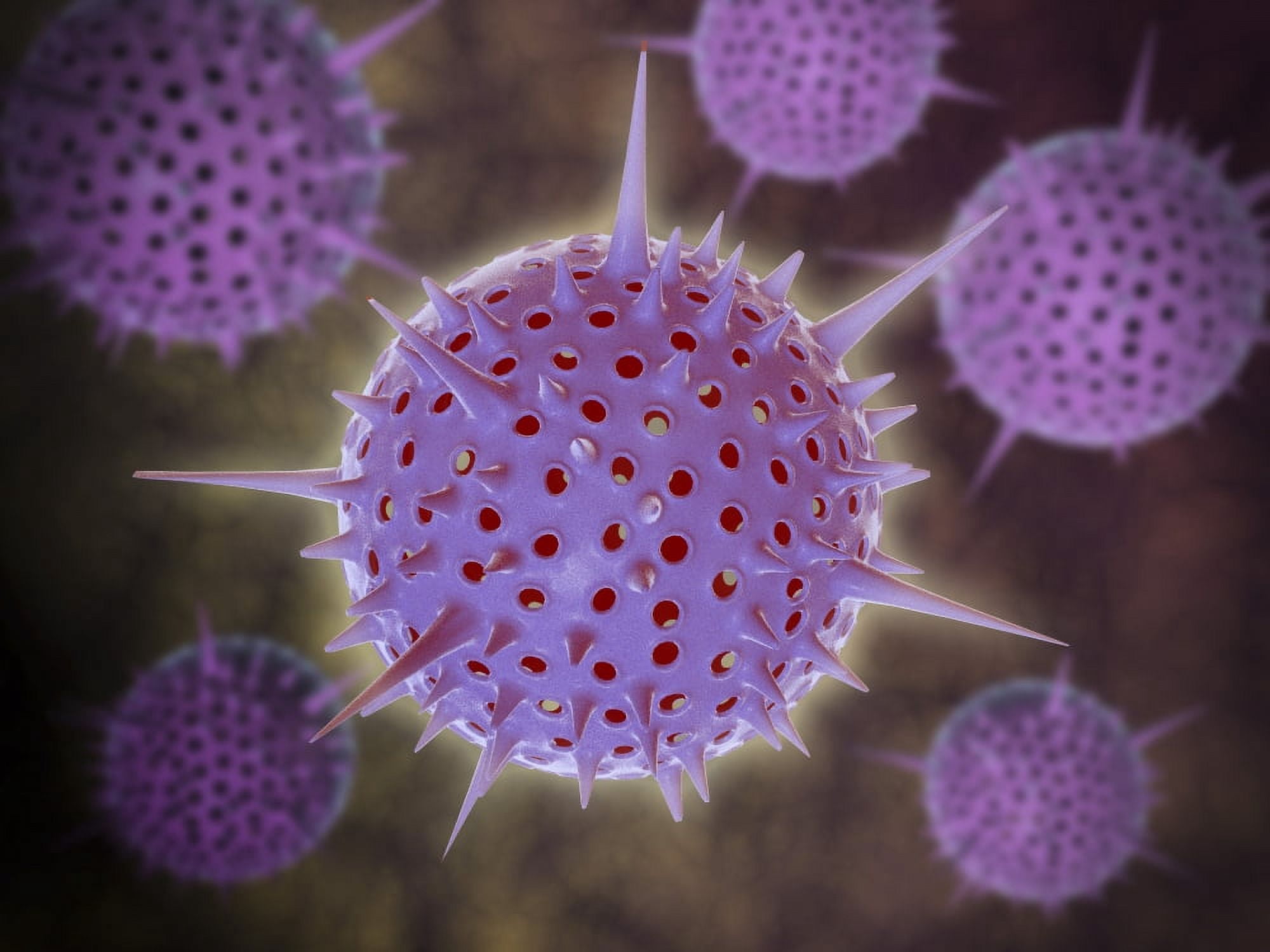Conceptual image of Radiolarians with a skeletal frame Canvas Art - Stocktrek Images (17 x 13)