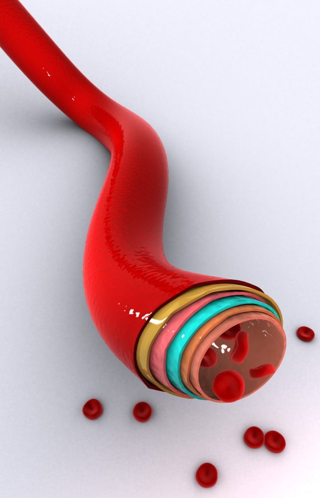 Conceptual image of a blood vessel Canvas Art - Stocktrek Images (12 x 18)