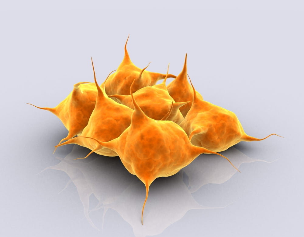 Conceptual image of a group of platelets Canvas Art - Stocktrek Images (33 x 25)