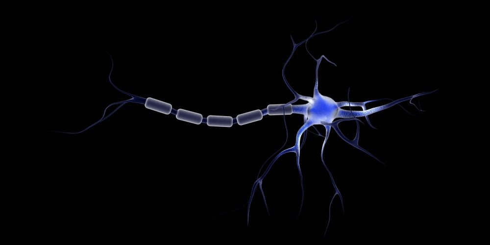 Conceptual image of a neuron Canvas Art - Stocktrek Images (20 x 10)