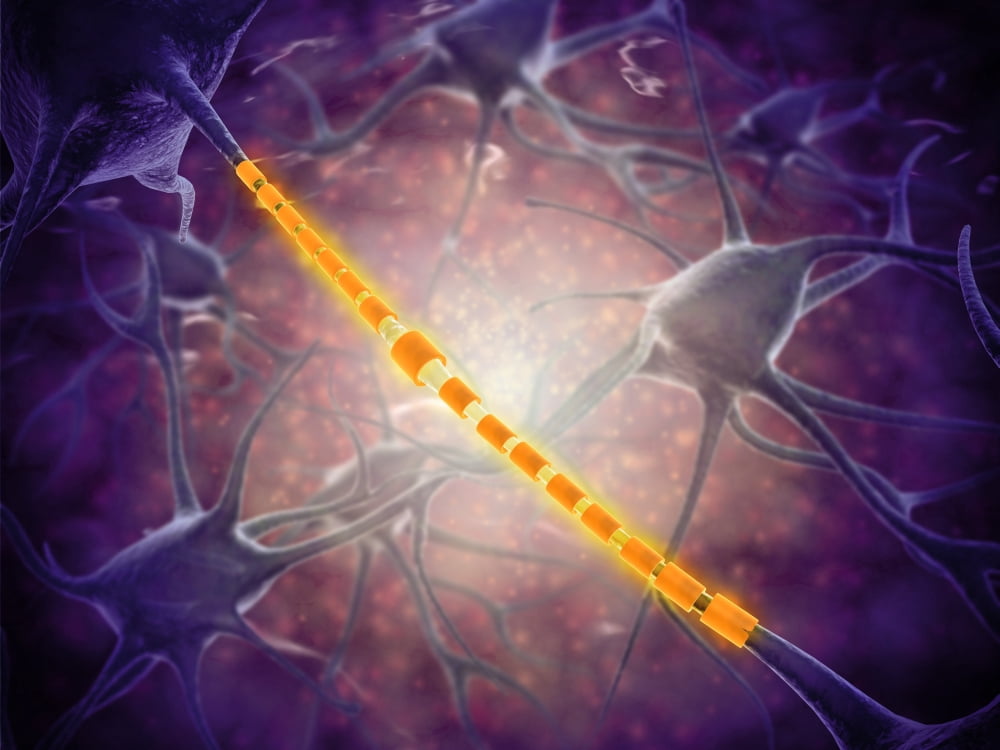 Conceptual image of a neuron ligntning signal passing Canvas Art - Stocktrek Images (17 x 13)