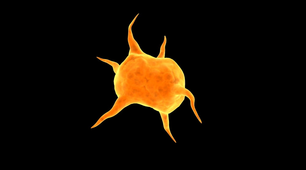 Conceptual image of a platelet Canvas Art - Stocktrek Images (38 x 22)