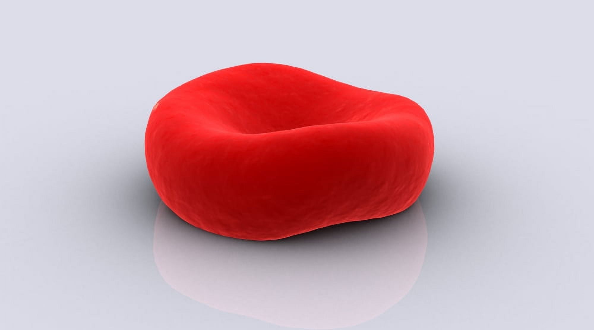 Conceptual image of a red blood cell Canvas Art - Stocktrek Images (19 x 11)