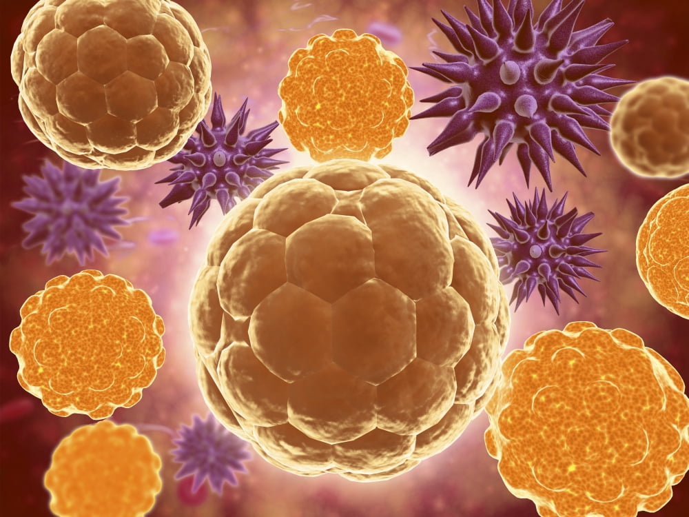 Conceptual image of a ubiquitous virus Canvas Art - Stocktrek Images (33 x 25)