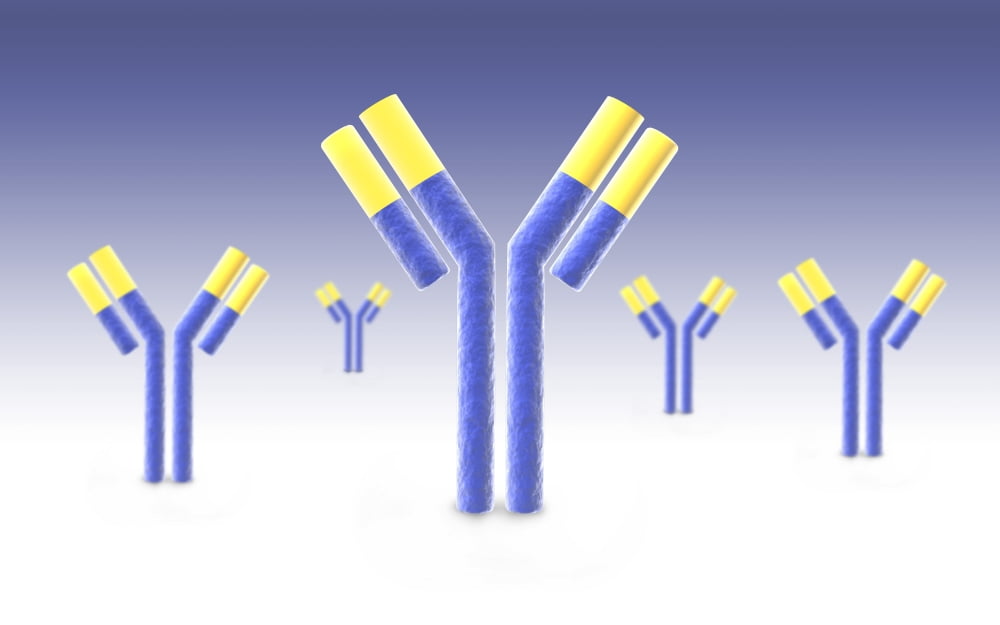 Conceptual image of an antibody Canvas Art - Stocktrek Images (36 x 23)