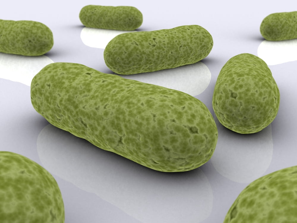 Conceptual image of bacteria Canvas Art - Stocktrek Images (17 x 13)