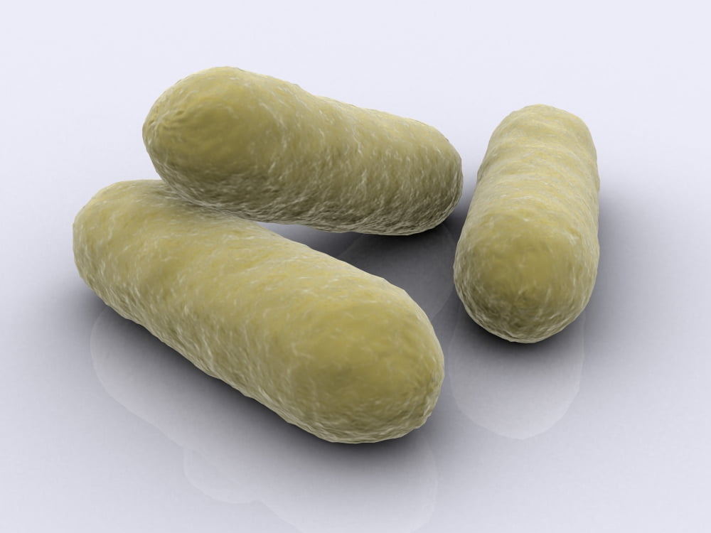 Conceptual image of bacteria Canvas Art - Stocktrek Images (17 x 13)