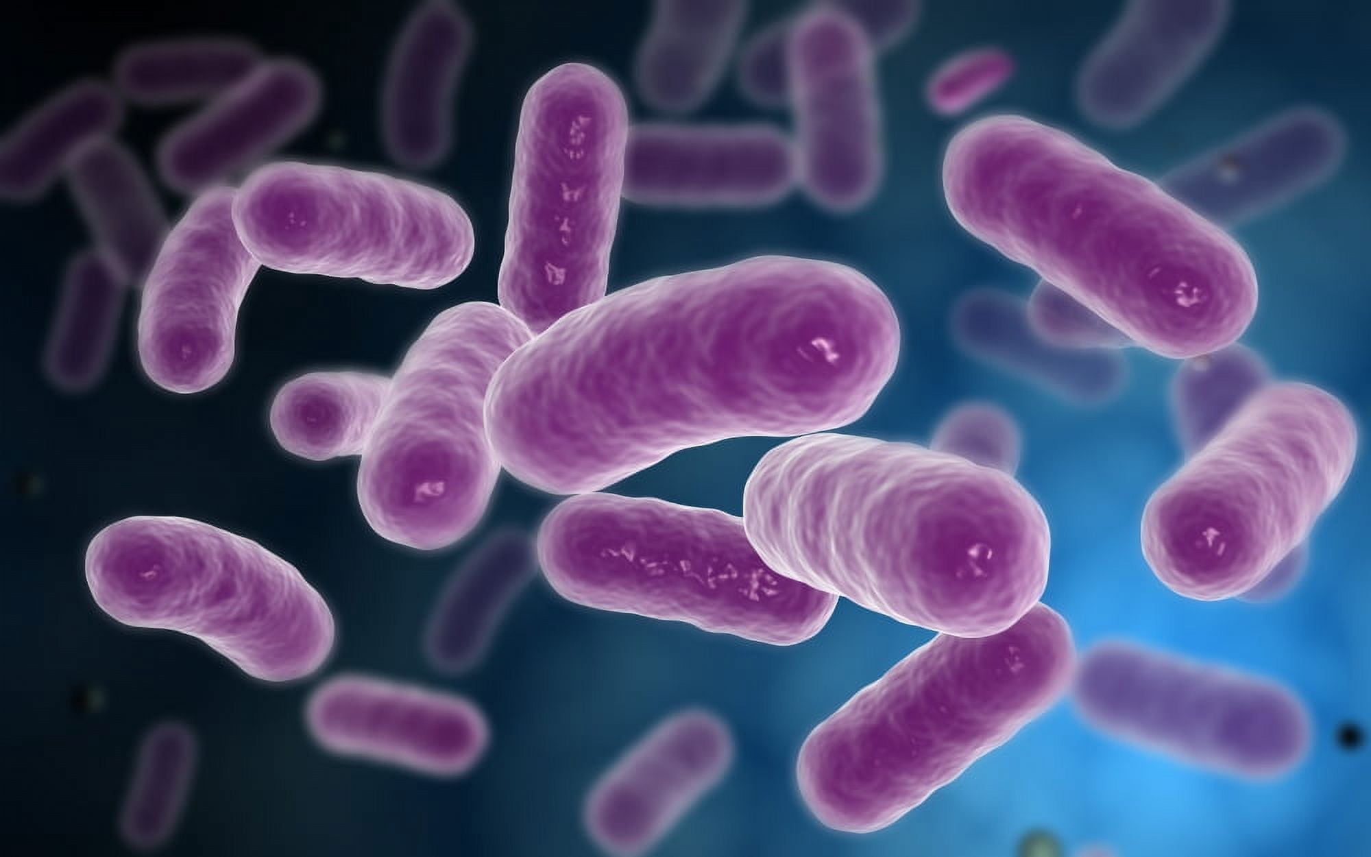 Conceptual image of bacteria Canvas Art - Stocktrek Images (18 x 12)