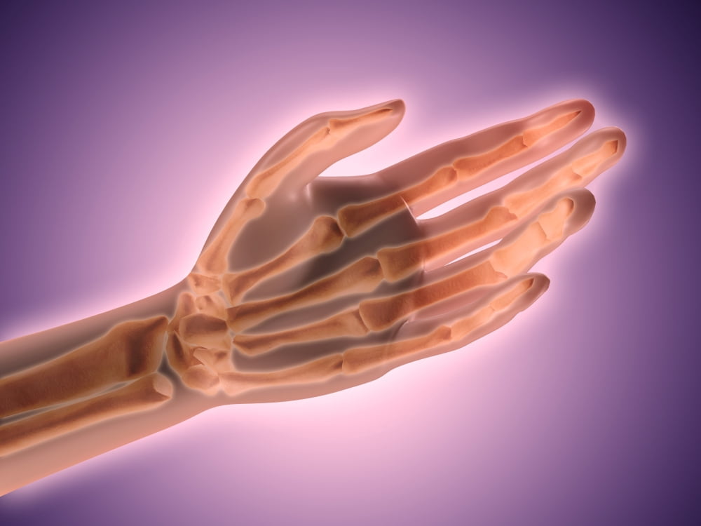 Conceptual image of bones in human hand Canvas Art - Stocktrek Images (17 x 13)