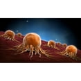 thumbnail image 1 of Conceptual image of cancer ***** Poster Print, 1 of 2