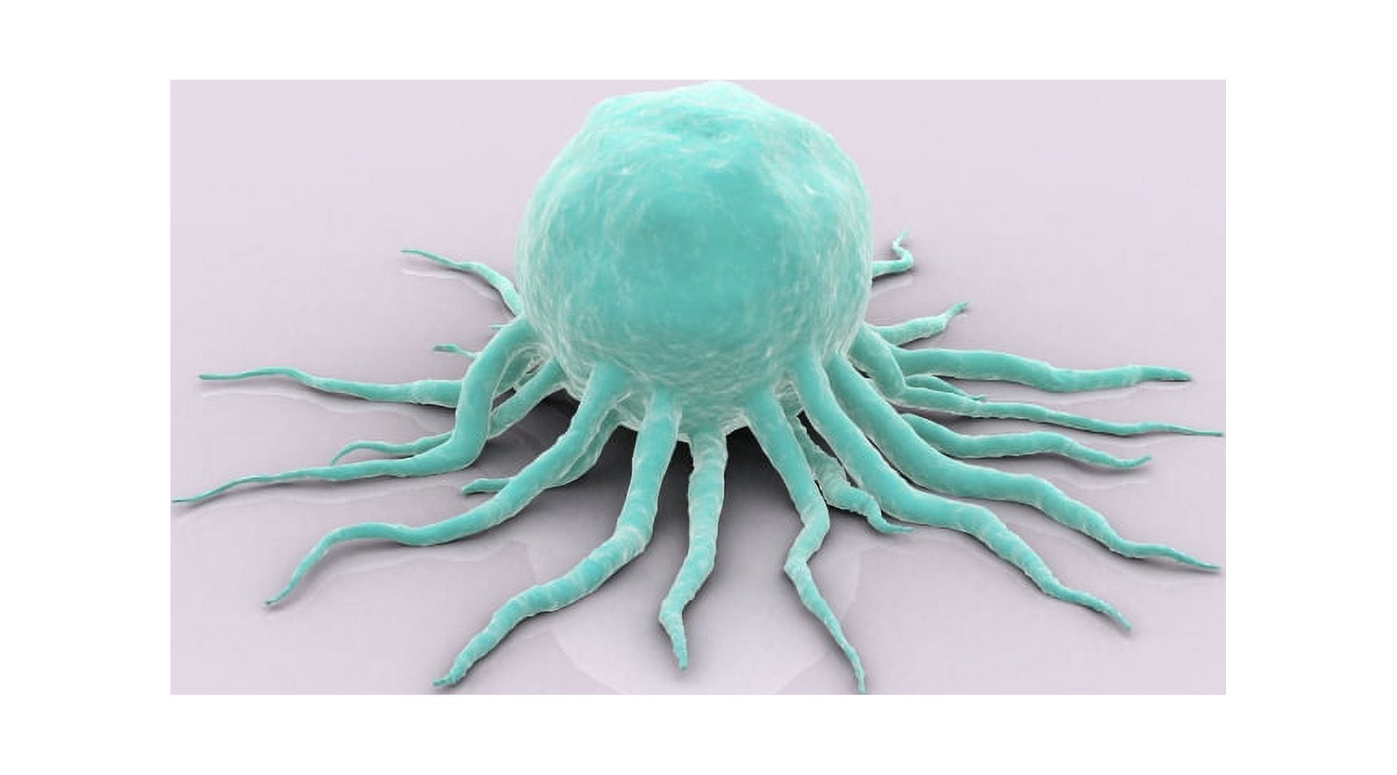 Conceptual image of cancer virus Canvas Art - Stocktrek Images (38 x 22)