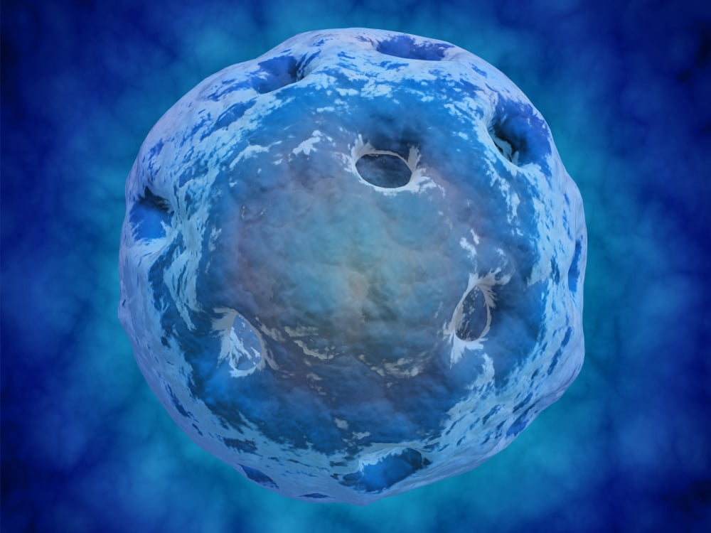 Conceptual image of cell nucleus Canvas Art - Stocktrek Images (17 x 13)