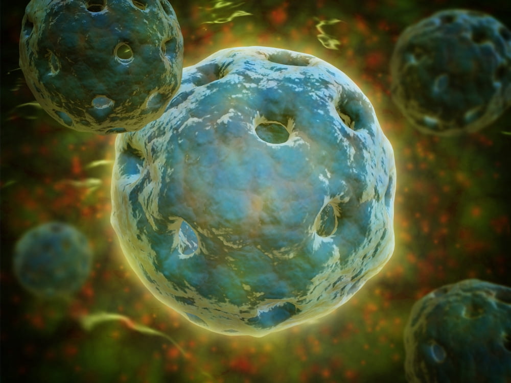 Conceptual image of cell nucleus Canvas Art - Stocktrek Images (17 x 13)