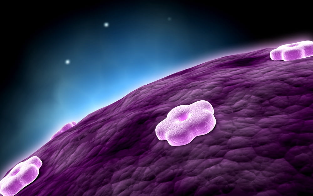Conceptual image of cell nucleus Canvas Art - Stocktrek Images (36 x 23)