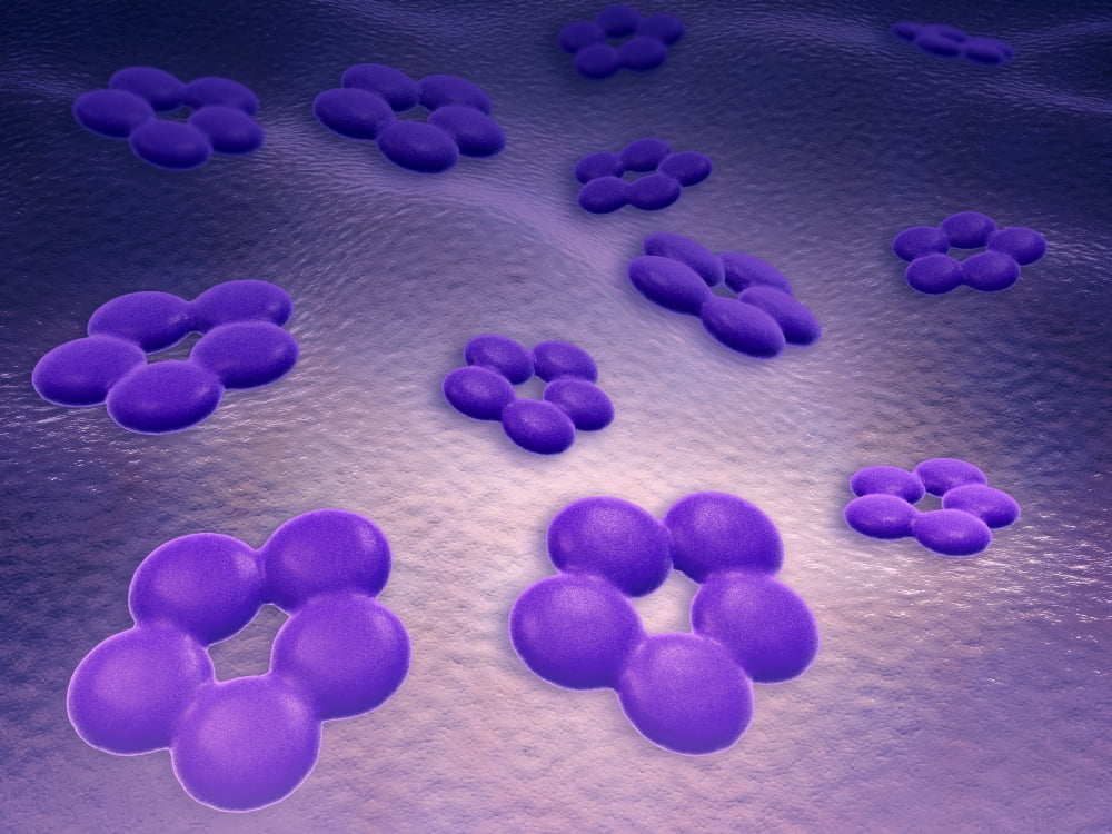 Conceptual image of cell surface receptors Canvas Art - Stocktrek Images (17 x 13)