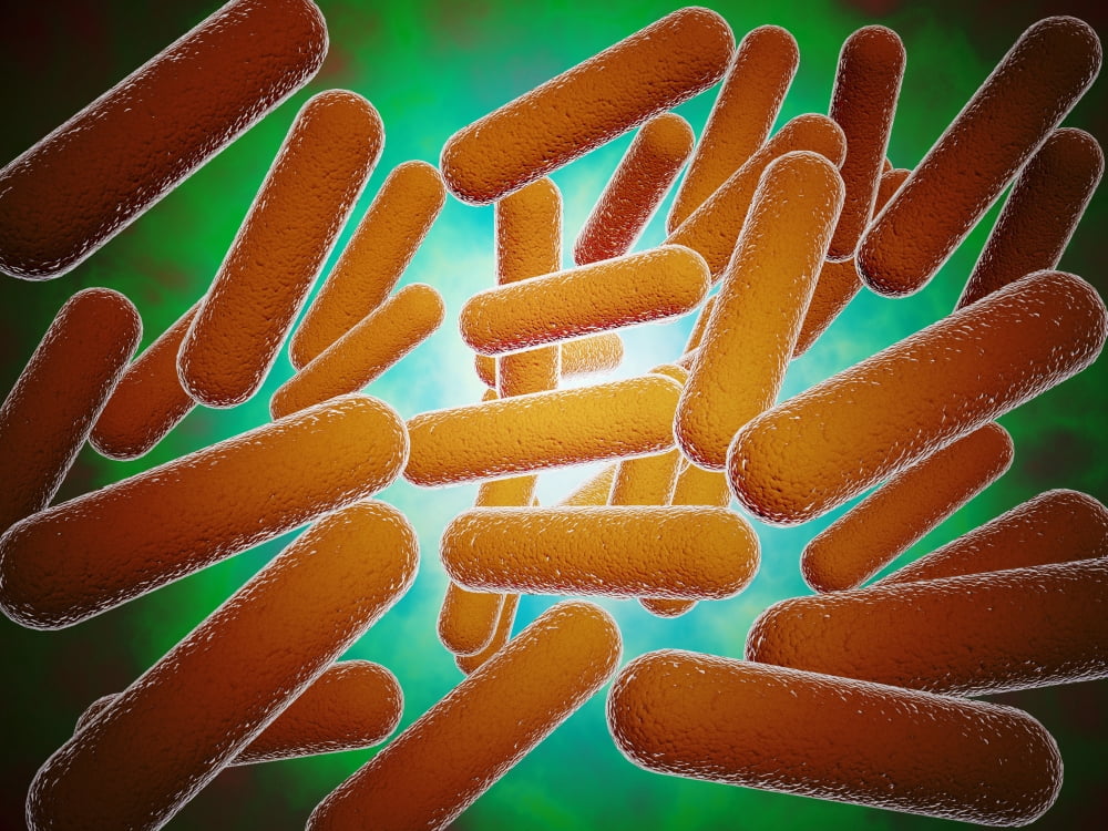 Conceptual image of cellulose nanorods Canvas Art - Stocktrek Images (33 x 25)