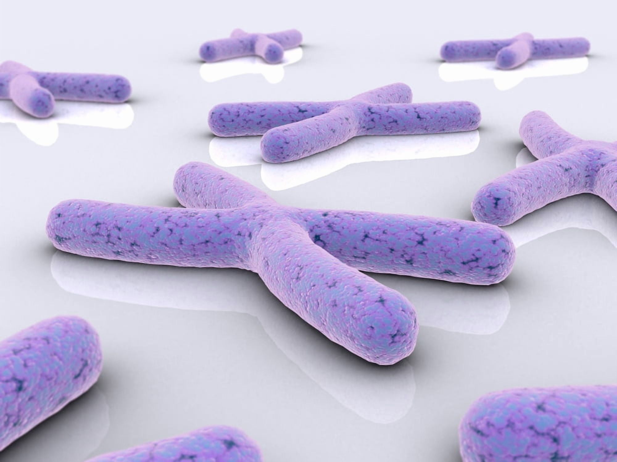 Conceptual image of chromosome Canvas Art - Stocktrek Images (17 x 13)