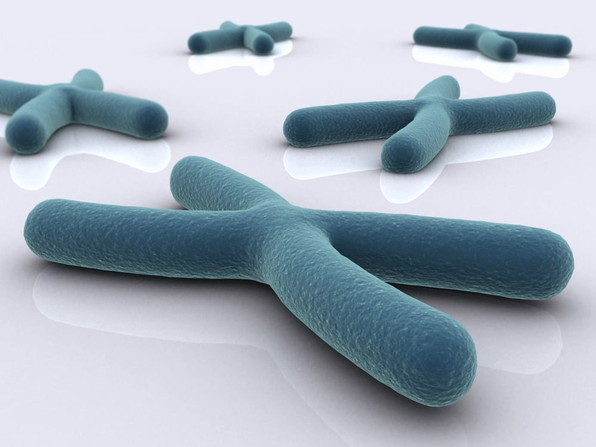 Conceptual image of chromosome Canvas Art - Stocktrek Images (17 x 13)