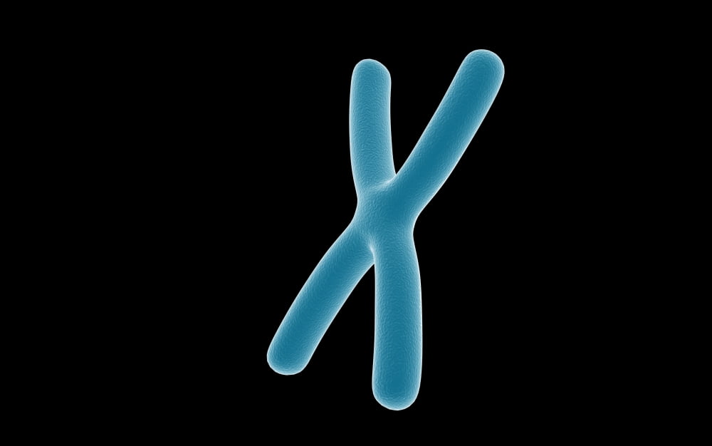 Conceptual image of chromosome Canvas Art - Stocktrek Images (18 x 12)