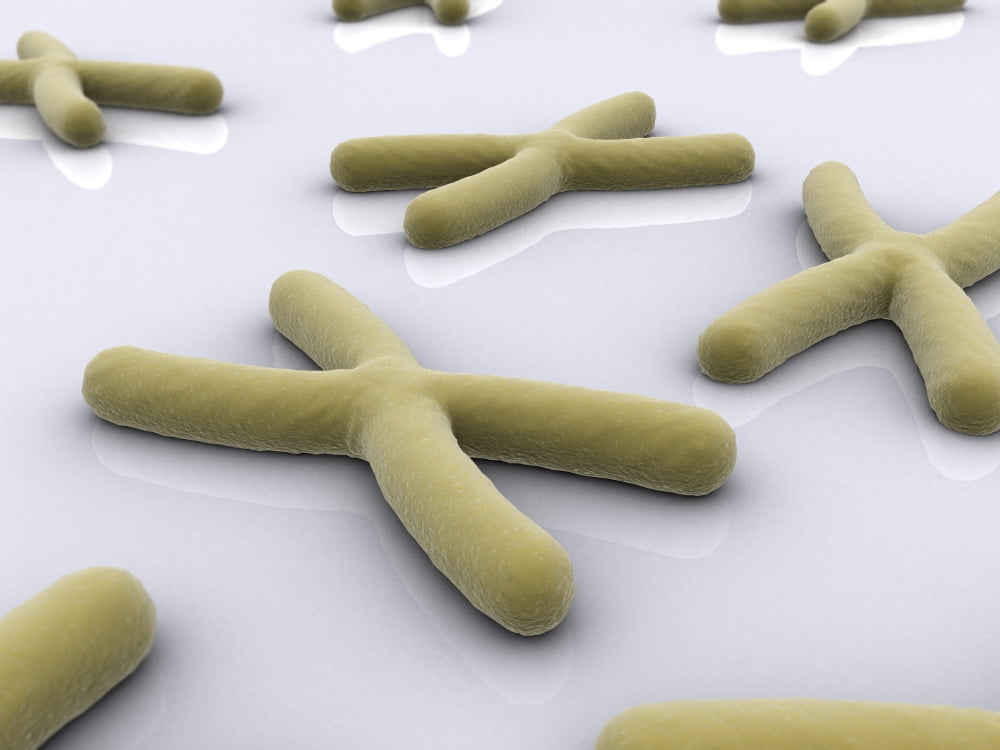 Conceptual image of chromosome Canvas Art - Stocktrek Images (33 x 25)