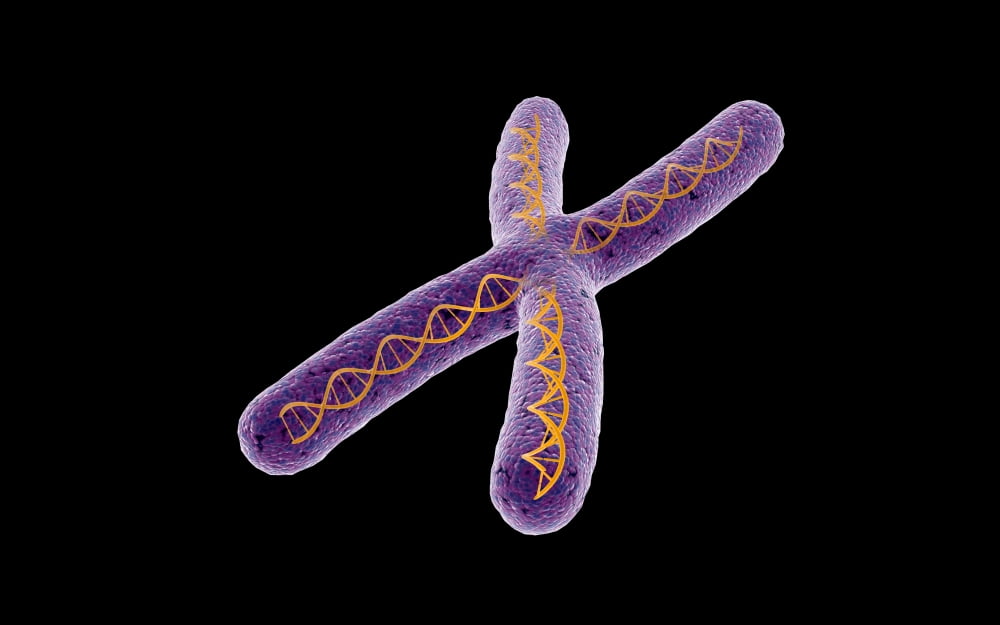 Conceptual image of chromosome Canvas Art - Stocktrek Images (36 x 23)