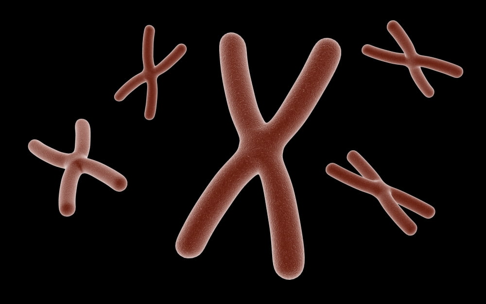 Conceptual image of chromosome Canvas Art - Stocktrek Images (36 x 23)