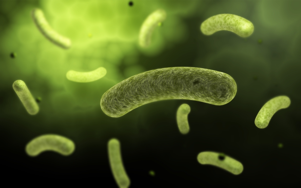 Conceptual image of common bacteria Canvas Art - Stocktrek Images (36 x 23)