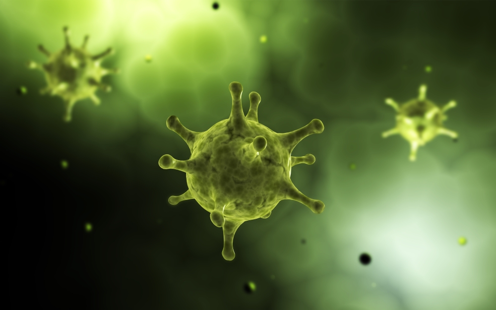 Conceptual image of common virus Canvas Art - Stocktrek Images (36 x 23)