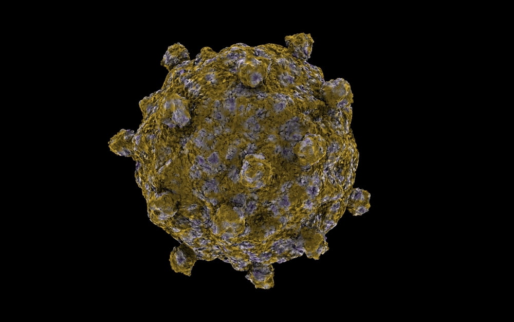 Conceptual image of coxsackievirus Canvas Art - Stocktrek Images (18 x 12)