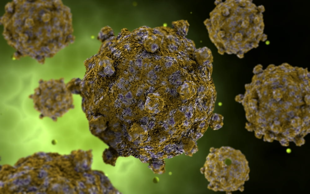 Conceptual image of coxsackievirus Canvas Art - Stocktrek Images (18 x 12)