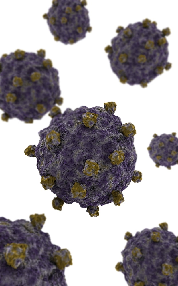 Conceptual image of coxsackievirus Canvas Art - Stocktrek Images (23 x 36)