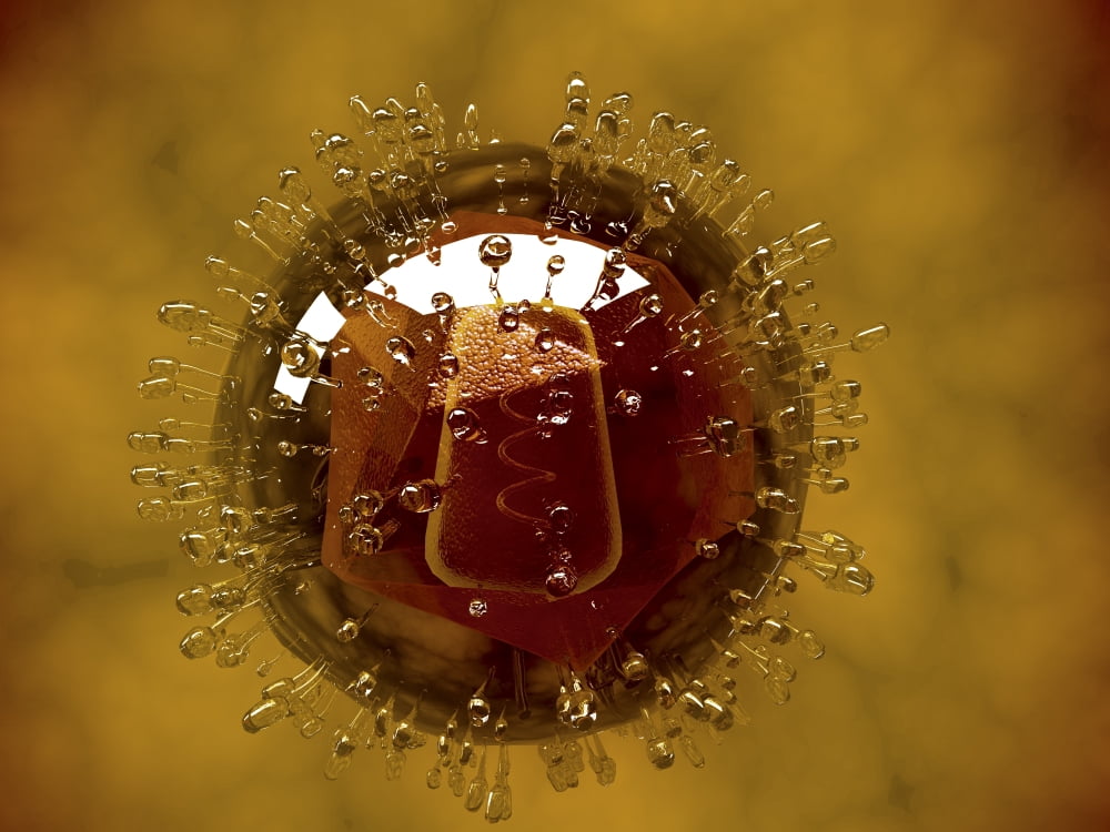 Conceptual image of coxsackievirus Canvas Art - Stocktrek Images (33 x 25)