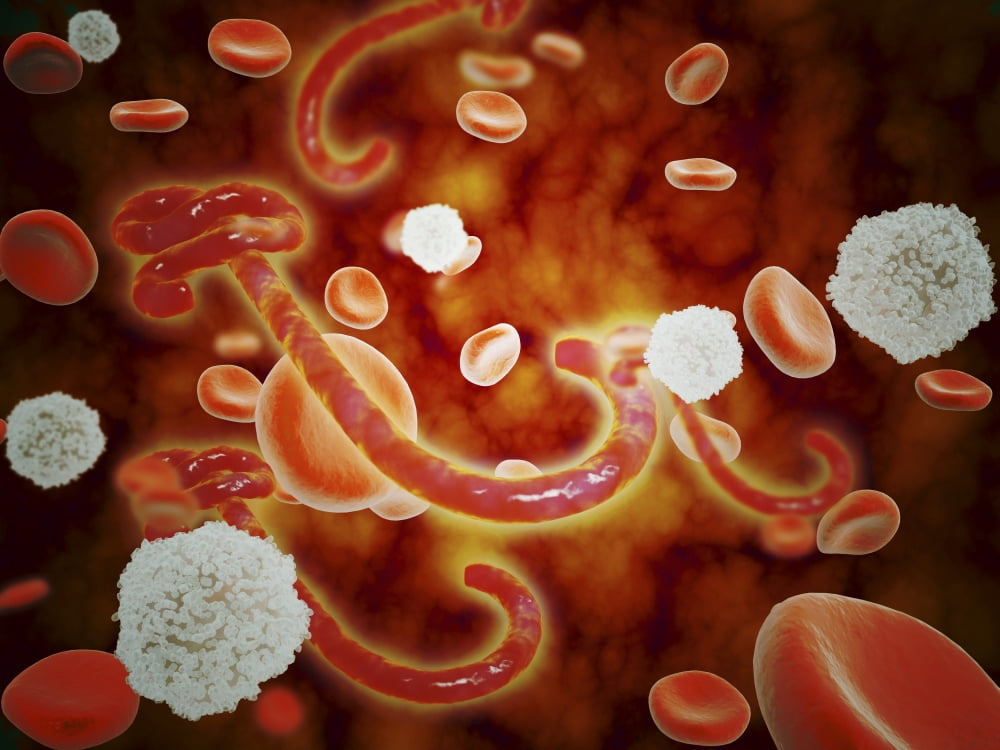 Conceptual image of ebola virus in blood stream Canvas Art - Stocktrek Images (33 x 25)