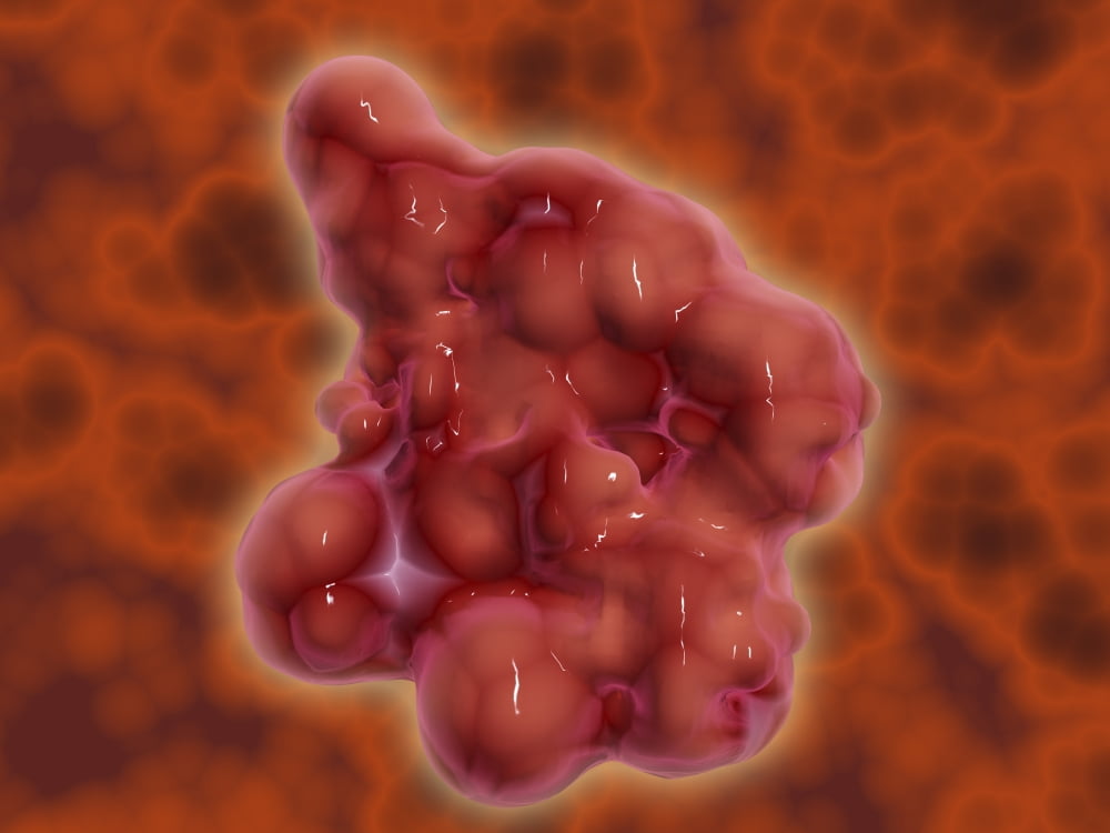 Conceptual image of enterokinase Canvas Art - Stocktrek Images (17 x 13)