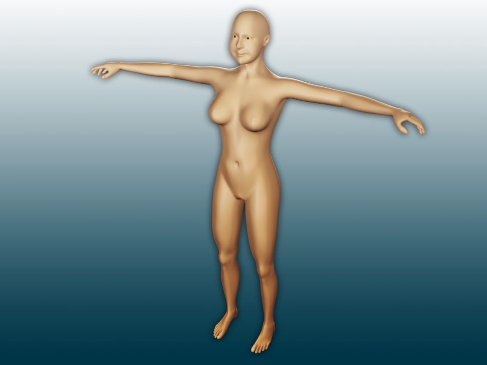 Conceptual image of female body with arms extended Canvas Art - Stocktrek Images (33 x 25)