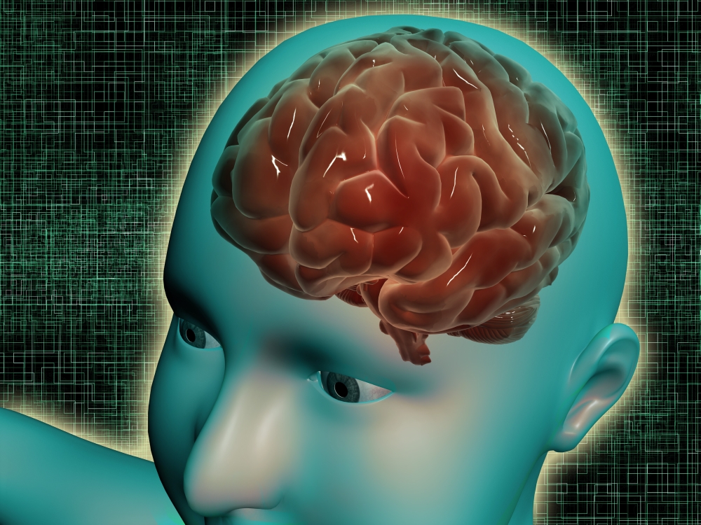 Conceptual image of female body with brain side view Canvas Art - Stocktrek Images (33 x 25)