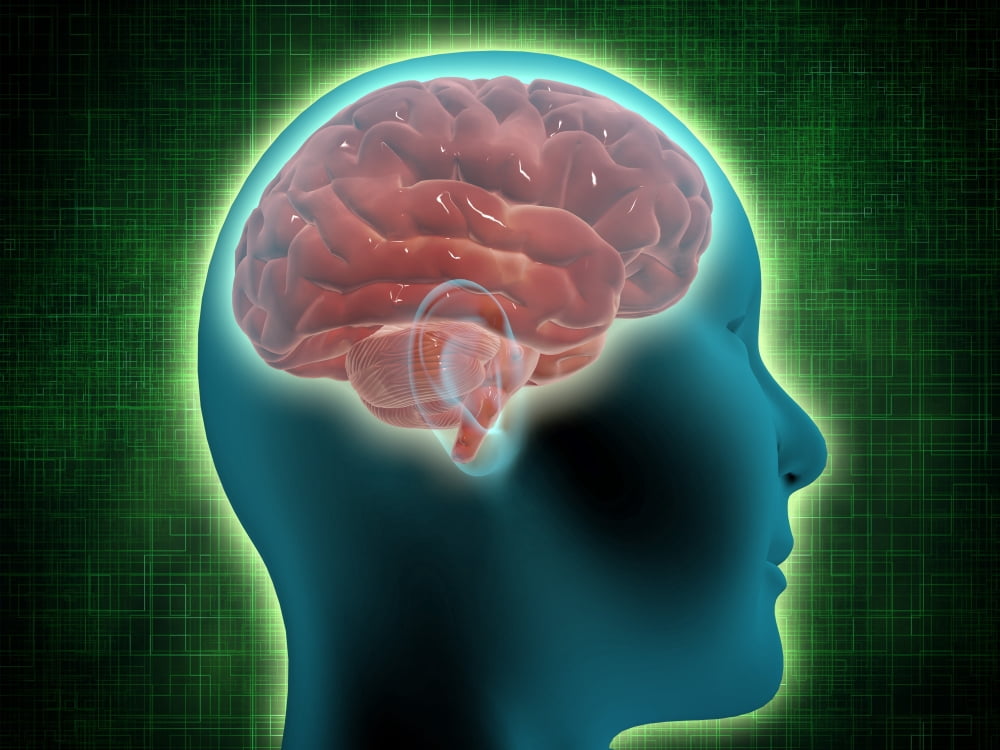 Conceptual image of female body with brain side view Canvas Art - Stocktrek Images (33 x 25)