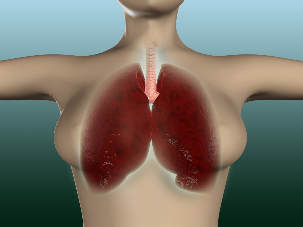 Conceptual image of female body with lungs Canvas Art - Stocktrek Images (33 x 25)