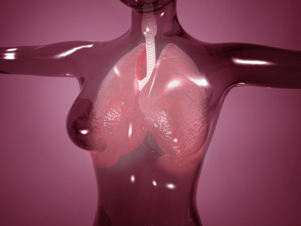 Conceptual image of female body with lungs glassy look Canvas Art - Stocktrek Images (33 x 25)