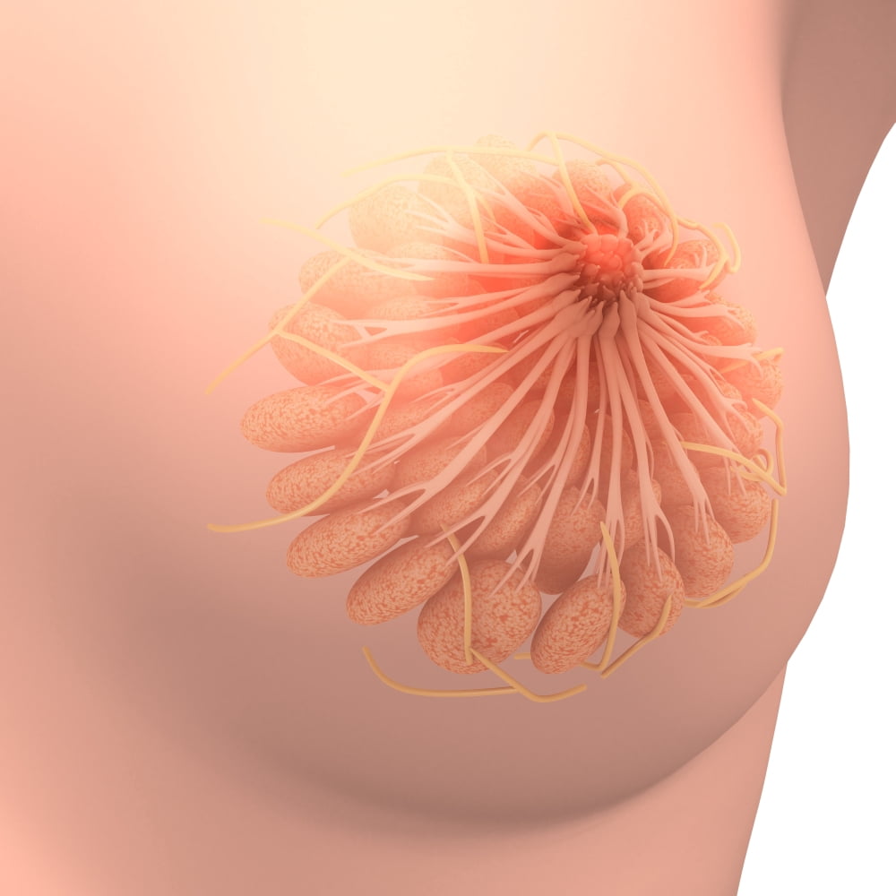 Conceptual image of female breast anatomy Canvas Art - Stocktrek Images (29 x 29)