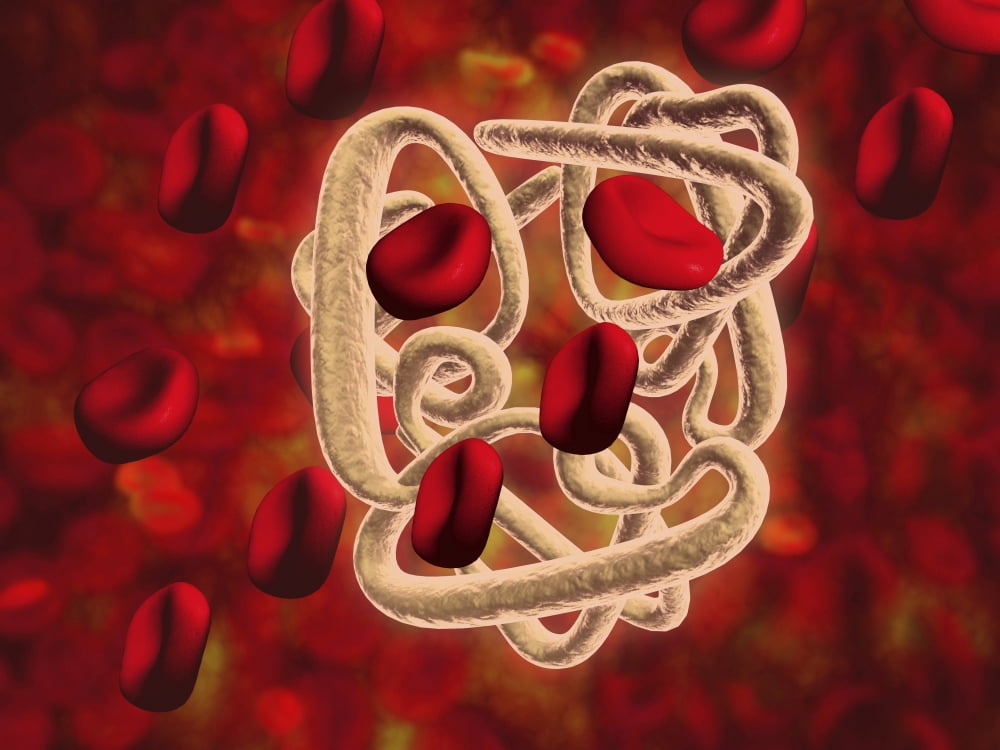 Conceptual image of hemoglobin and red blood cells Canvas Art - Stocktrek Images (17 x 13)