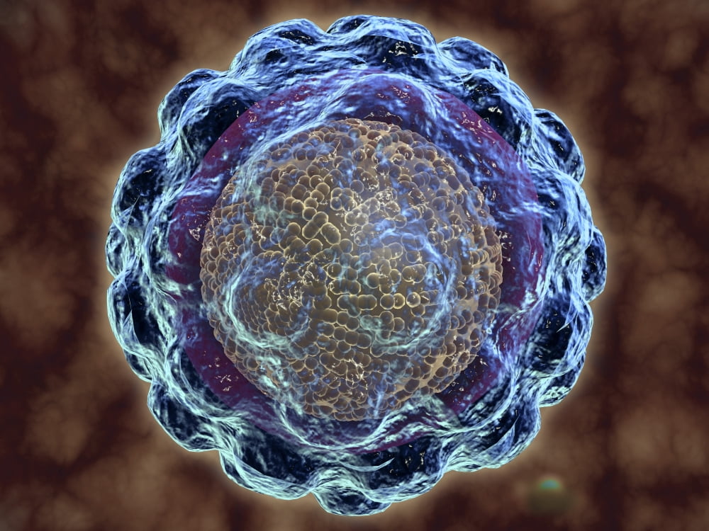 Conceptual image of hepatitis virus Canvas Art - Stocktrek Images (17 x 13)