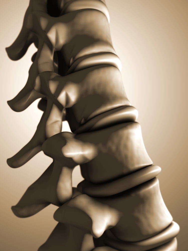 Conceptual image of human backbone Canvas Art - Stocktrek Images (13 x 17)