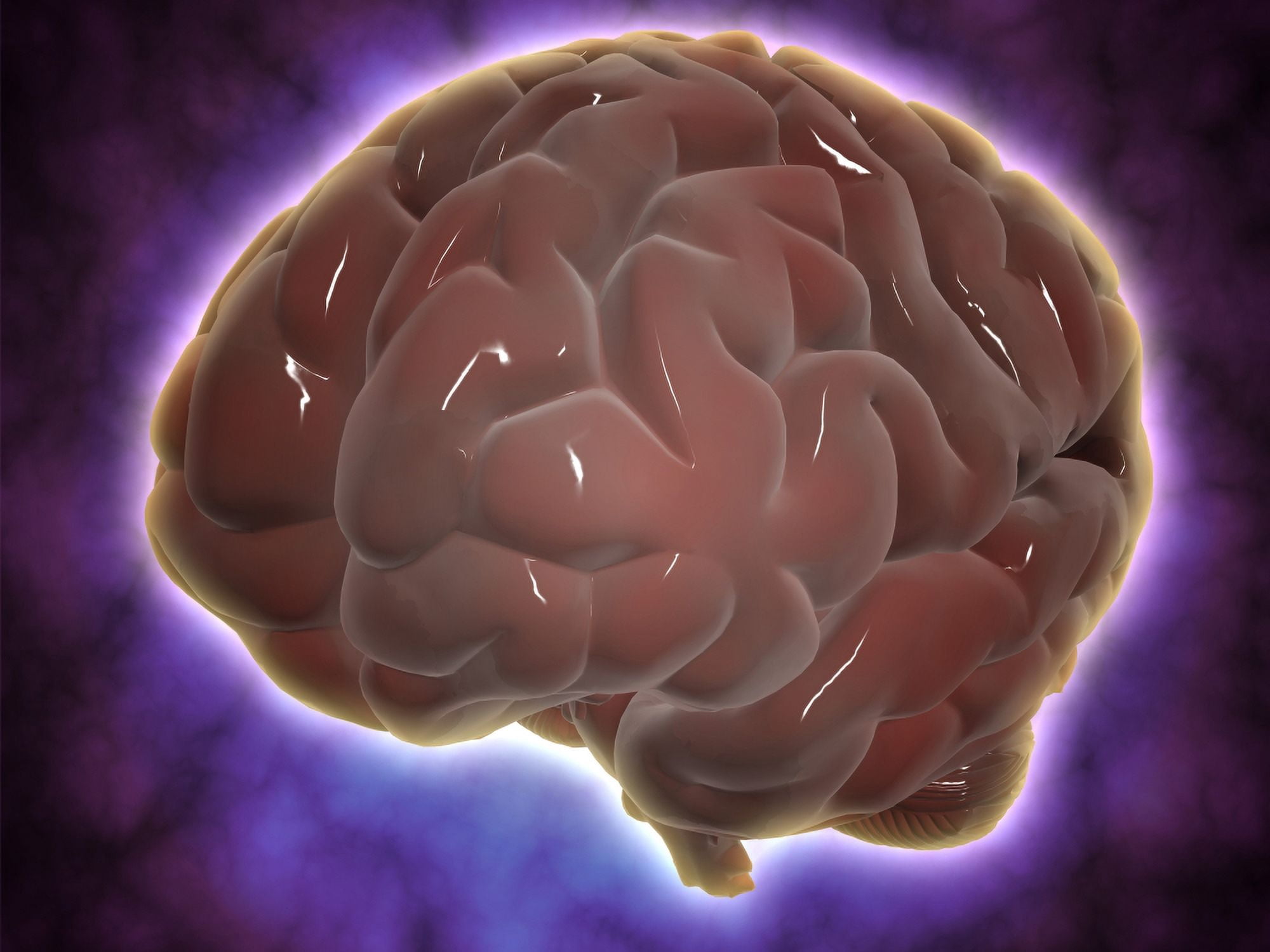 Conceptual image of human brain Canvas Art - Stocktrek Images (17 x 13)
