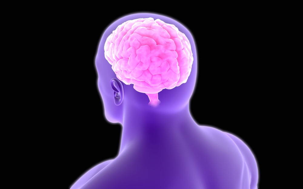 Conceptual image of human brain Canvas Art - Stocktrek Images (18 x 12)