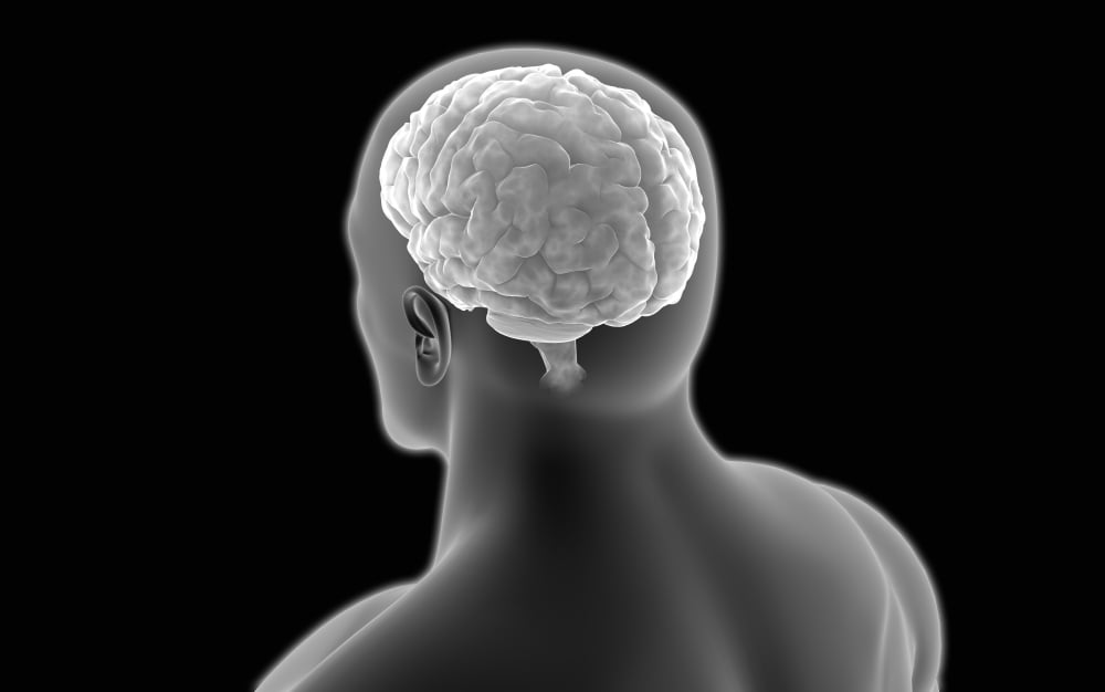 Conceptual image of human brain Canvas Art - Stocktrek Images (18 x 12)