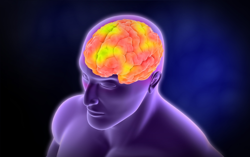 Conceptual image of human brain Canvas Art - Stocktrek Images (36 x 23)
