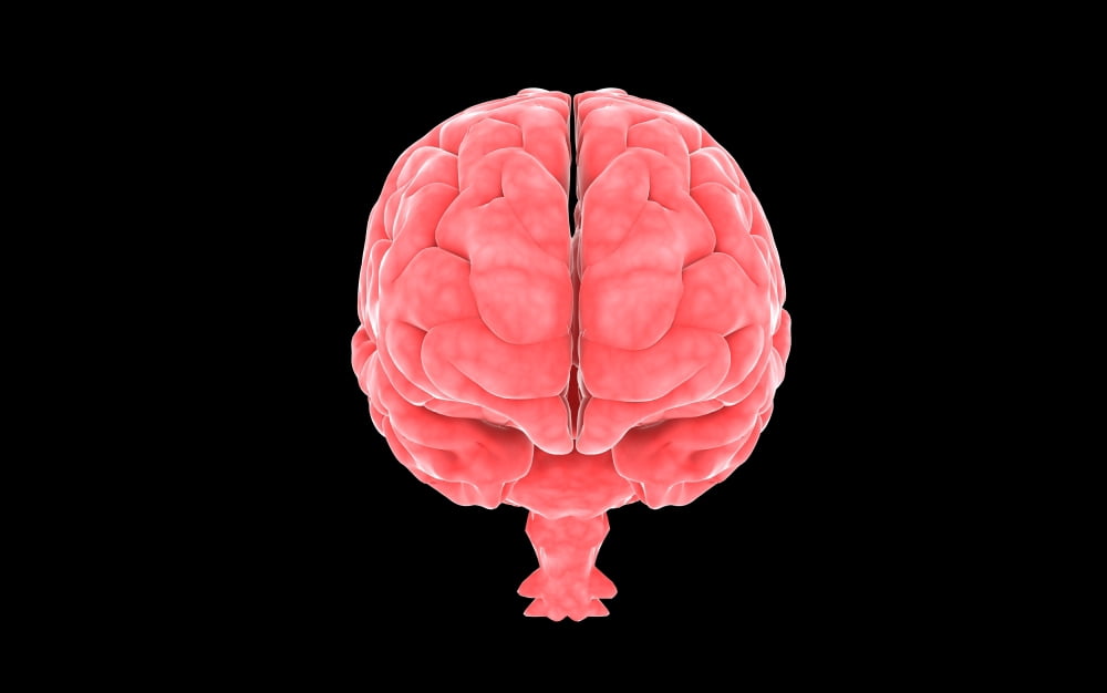 Conceptual image of human brain Canvas Art - Stocktrek Images (36 x 23)