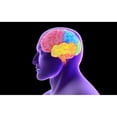 thumbnail image 1 of Conceptual image of human brain Poster Print, 1 of 2