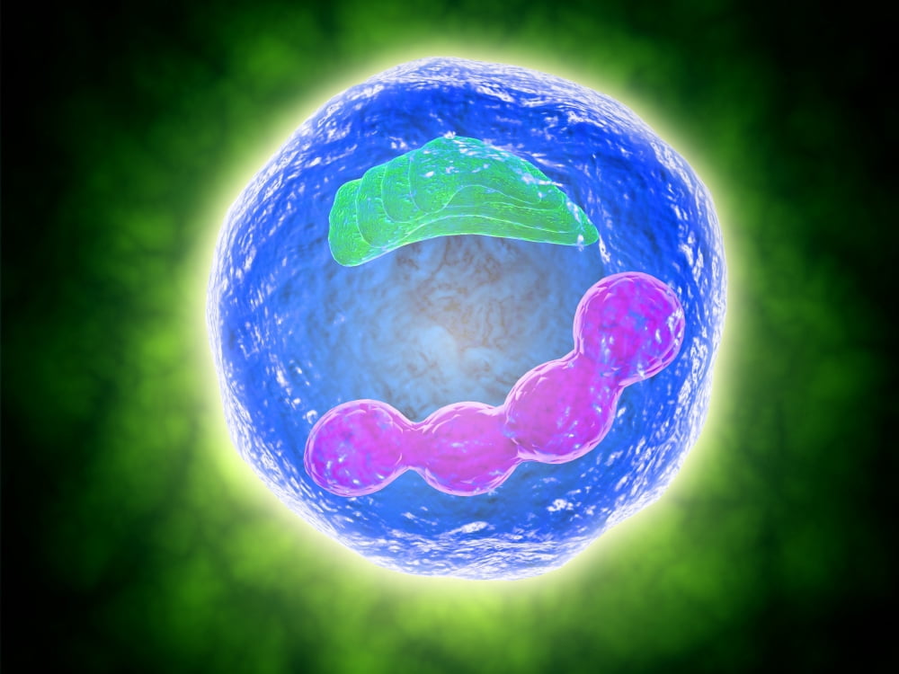Conceptual image of human cell Canvas Art - Stocktrek Images (33 x 25)